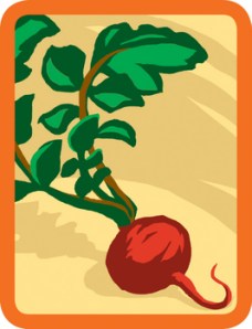 Girl_Scout_Locavore_Badge