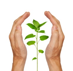 Depositphotos_3375880_s