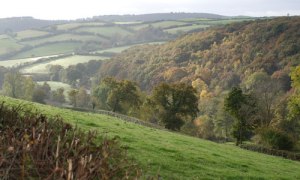 devonmoors-ashburton-dartmoor-foot