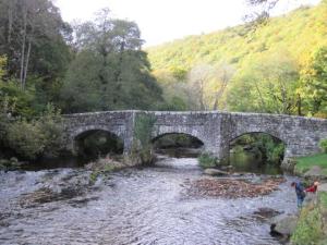 fingle-bridge-inn